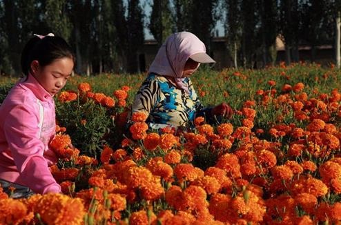 ũ����������ժ���پ�