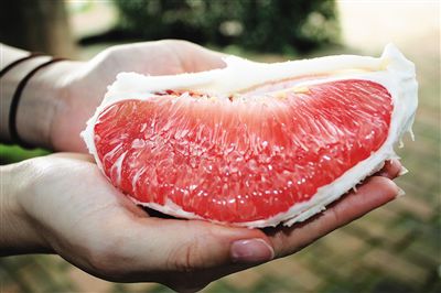 儋州蜜柚肉质鲜美。