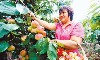 ͼΪܰժ԰˺ڲժʹӡ