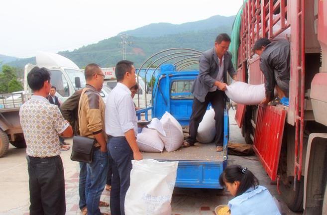 ������ƽ���»��緢��10��ֺ��ֱ�����������