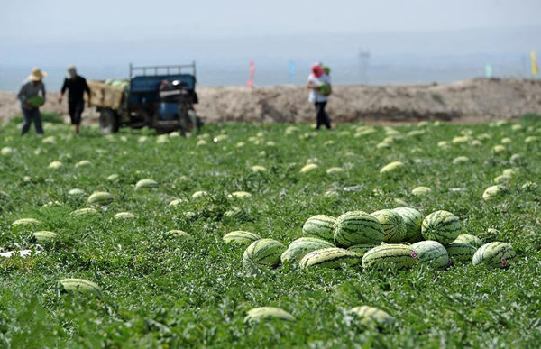 731գĻɳͷ򣬵عũժ˳ɰϡ