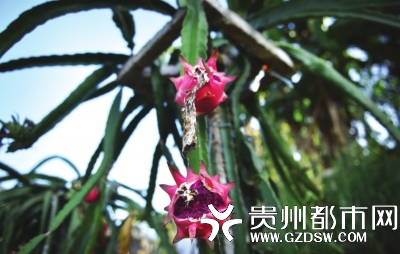 عũ˵ʵըĻóԵģΪ۲ۣߴ