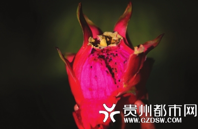 ĻǹʡũԺΪ޵оƷ֣СϺ