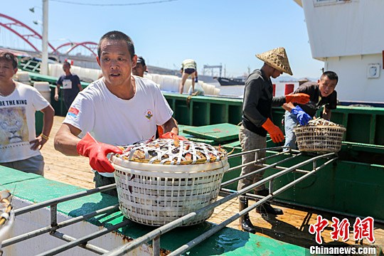 83գɽˮͷϵĹæж䣬һ洬Ϻз顣