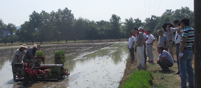 安徽桐城市农机局举办水稻钵苗机插现场会2
