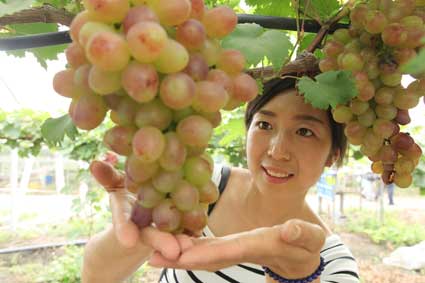 ���ջ��ϴ�ͨ�������Ѳ�ժ����ʱ