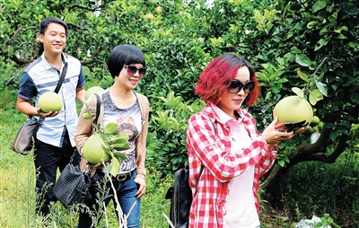 �����������������������ޡ��֡���