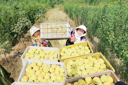 ɽ������������Ķ���Ҵ���� ������4000���򹫽�