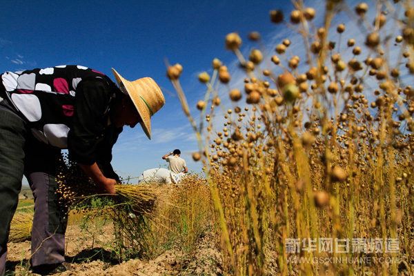 85գڸʡлسƴ壬ո顣