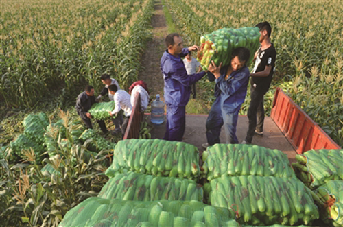 ���պ�����18��Ķ�����׿�ʼ�ջ�