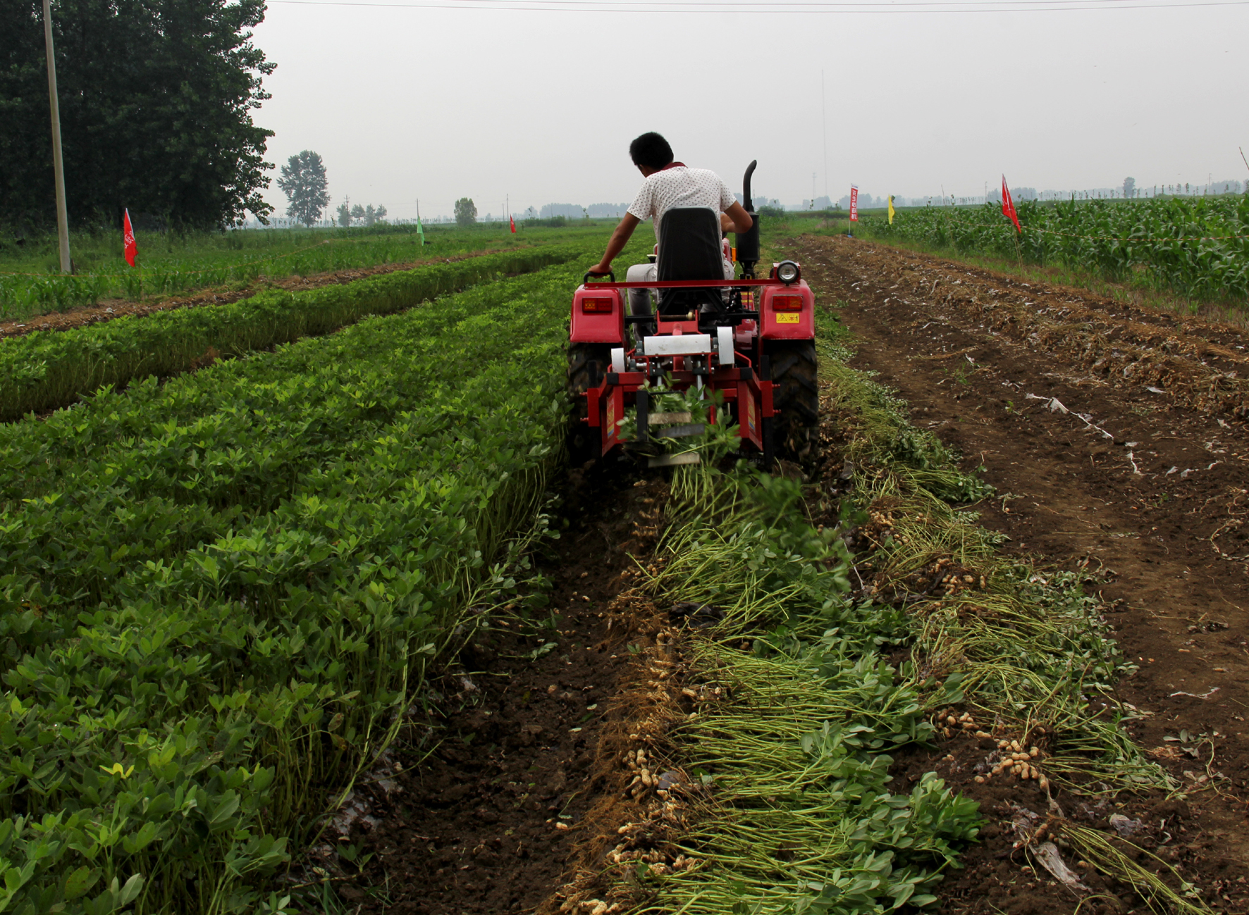 ���չ������ٿ�������е�ջ���ҵ��ʾ��