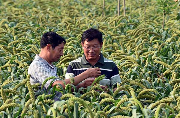 �ӱ��İ�����ҵת������ũҵ