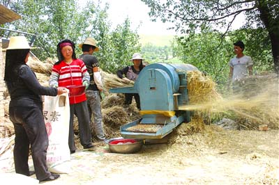 ������������ֲ����40����Ķϲ�����