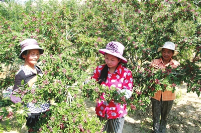 ������������ܫ�򻨽�����