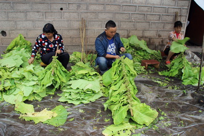 ������ƽ3.88��Ķ���̿�¯�濾