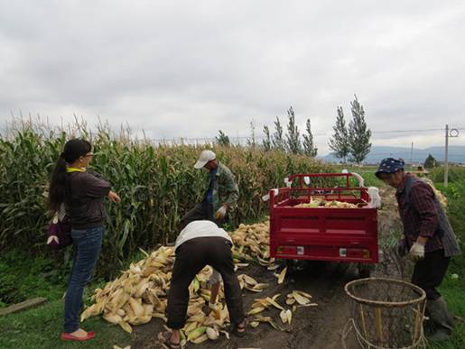 ���ϴ����в������׽��������