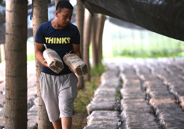 8��6�գ��ӱ�����������ʳ�þ���ֳרҵ�������ũ��������Ģ��������