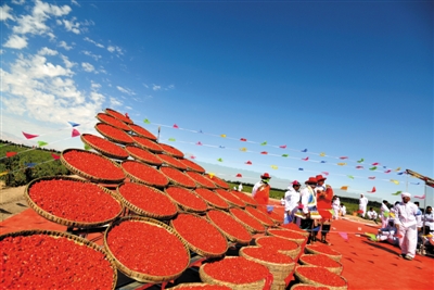 全新销售模式让青海柴达木枸杞走向全国