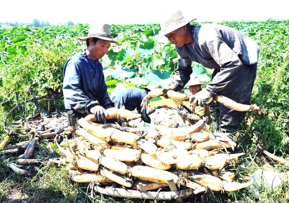 ����®��������6000Ķ����źϲ�����