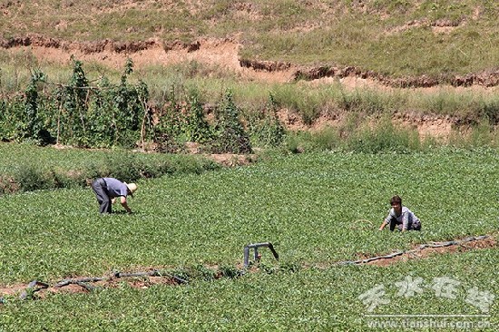 ��ҩ�ĳ�Ϊ��������������ũ����ƶ�¸��Ľ�����