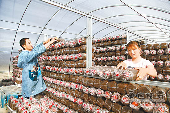 ��������������ʳ�þ���ģ����չ �ѽ��ɴ���2032��