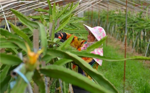 ̨��ˮ���ڰ��պϷʳɹ�����