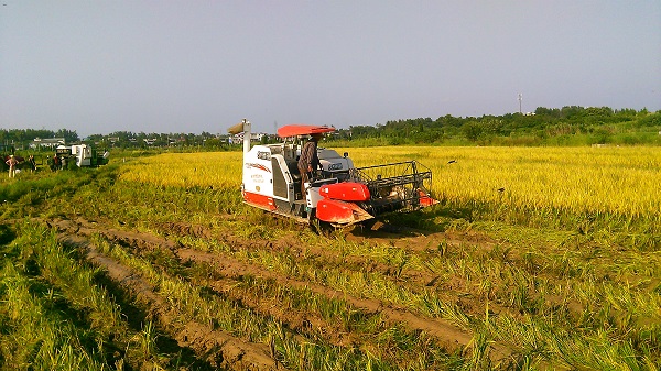 ���ջ�������˫����ũæ�˲�æ