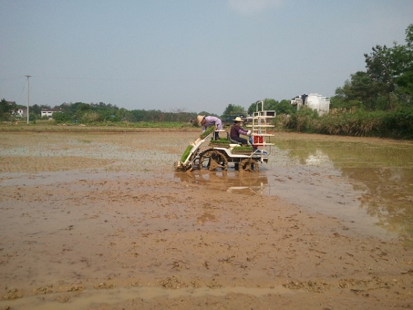 ���ջ�������˫����ũæ�˲�æ2