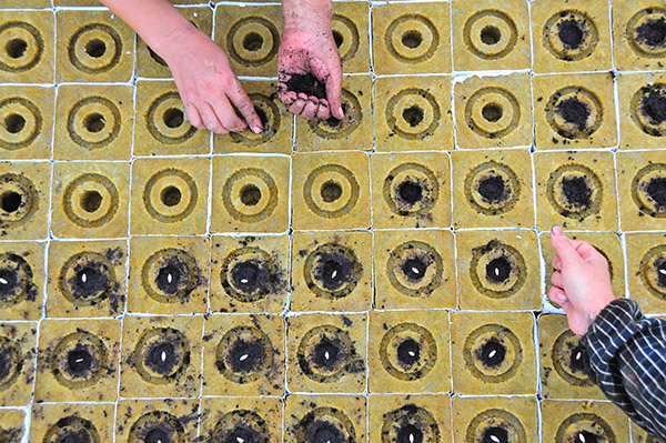 山东潍坊:有机农业俏峡山