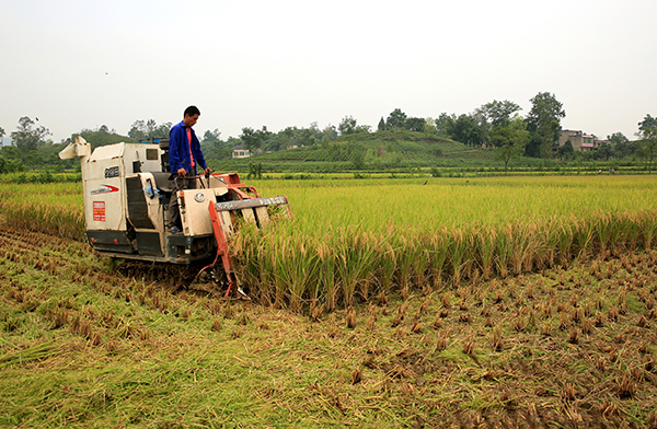 811գĴʡи߷Ҵ壬Խݵġ͡ոˮ