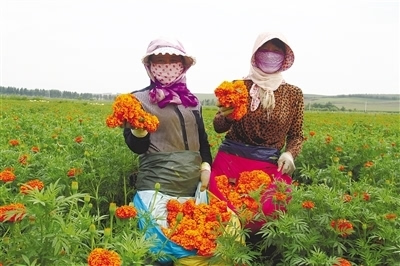 ���ɹ�������ũ��ɽ� �¸��ֿ���