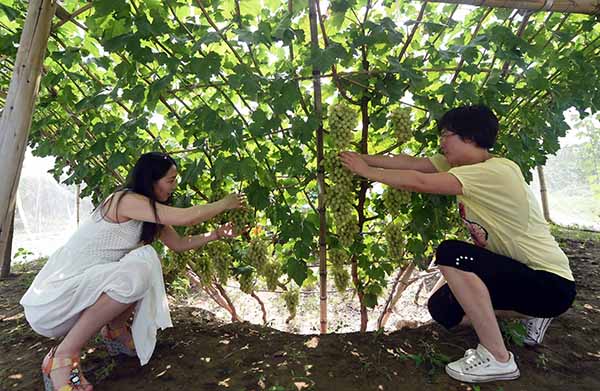 �ӱ���ӣ��ƽ�ũҵ��ҵ������ǧ����ٽ��¹�