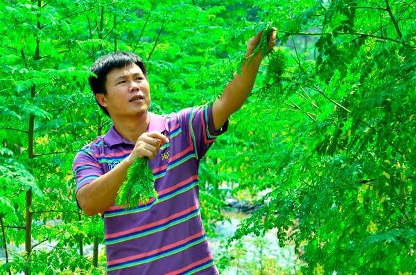 ����¹��߲���ľ��½��������