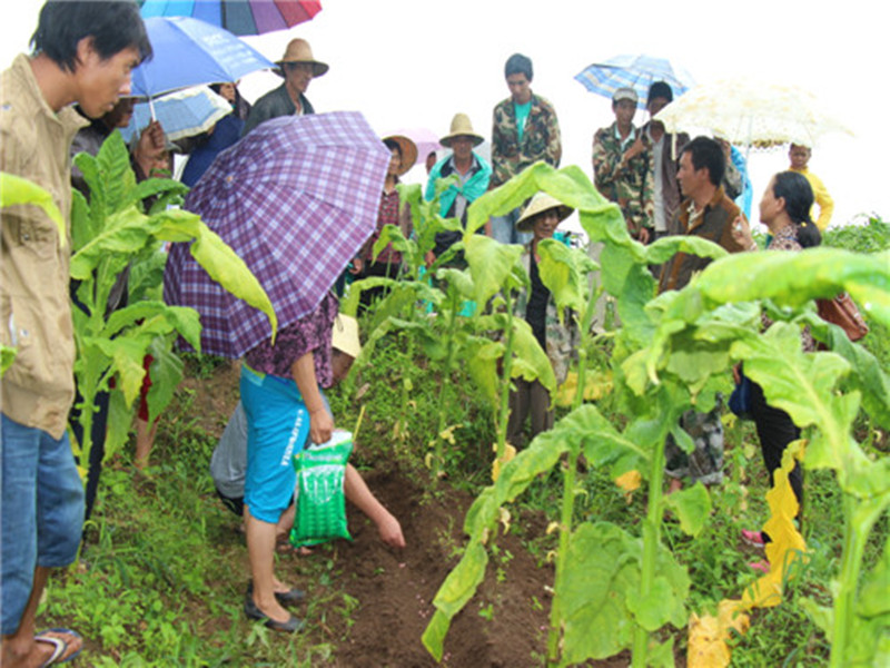 ����������ʵ������ʳ��ֲ���6��Ķ