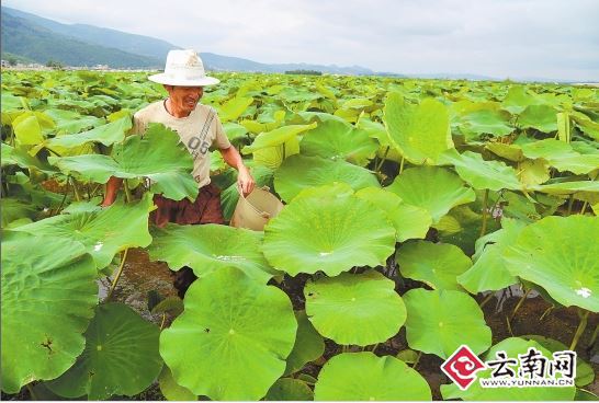 ��������ǳˮź��������