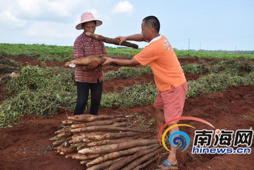 ٸ20ﻴɽ 1չ۲1.5Ԫ