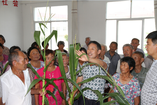 ��������������ɫ�����ش١���ɫ������