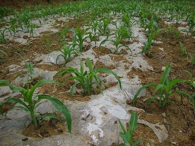 ������ɽ��άĦ����ץ�������������������