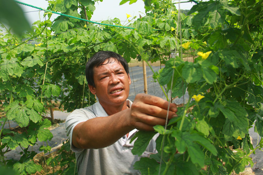 �������ݣ������߲� ������Ӧ