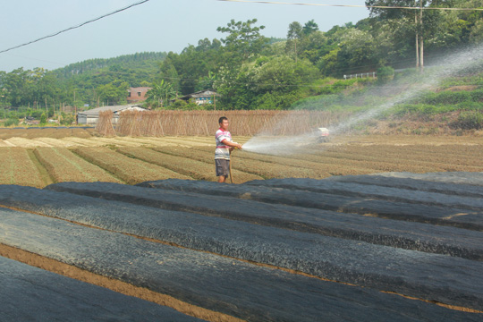 ͼΪ���������߲˻��ز�ũΪ���ֶ����罽ˮ