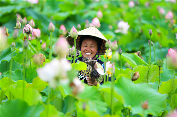 ˳ذɽԺɻֲʾأũڲժ