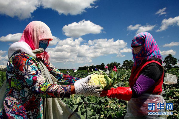 813գżҿڲ챱Ĳũջ˻