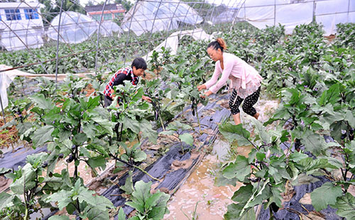 817գĴϳ˳ɽӴСƽң־壨ڴӡ