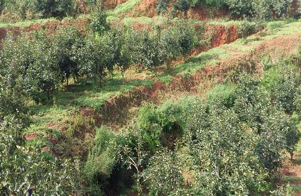 ���ϻ����ؾ���վ��չ��ҩ�ļ����ֵ���