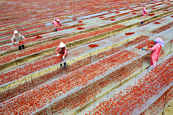 817գ½ŵڶʦʮũڼӹɹѸɡ