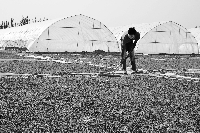 ���������������ֲ������载����ժ��