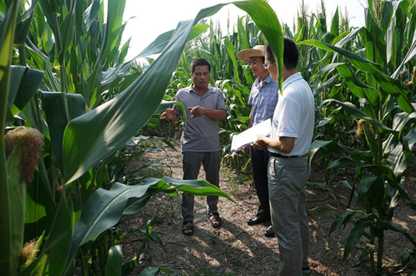 ����ʡũ�����ĸ���������������������2