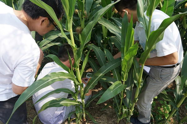 ����ʡũ�����ĸ���������������������3