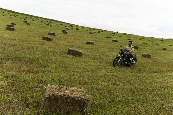 8��15�գ������ɹ����������ױ������°Ͷ�������ĺ������ľһ��������һ�����������ڲݳ��ϣ�����ڻ��Ŵ�����װ���Ĳ��ϡ�