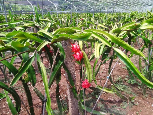 ���조��Ϫ�������Ļ����������г�